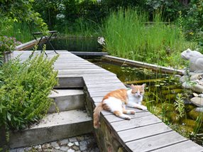 Entspannung am Teich