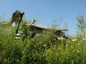 naturgarten ritzlhof (1)